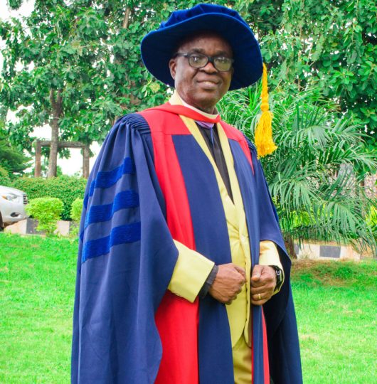 Dr. Moses Adebolu Adetunmbi
Rector, Archbishop Vining College of Theology, Akure